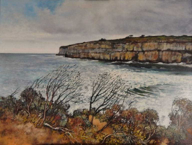 Windrushed and Sunlit - Stella Clarke