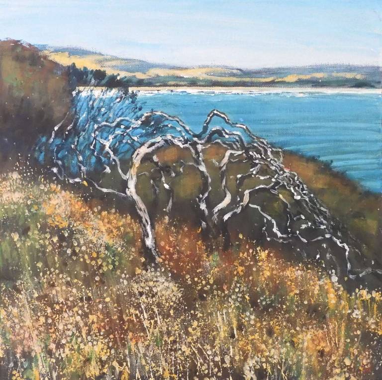 Wind-sculpted - Stella Clarke