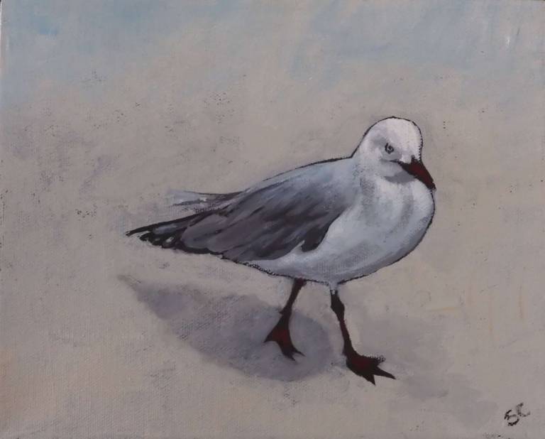 Gull - Stella Clarke