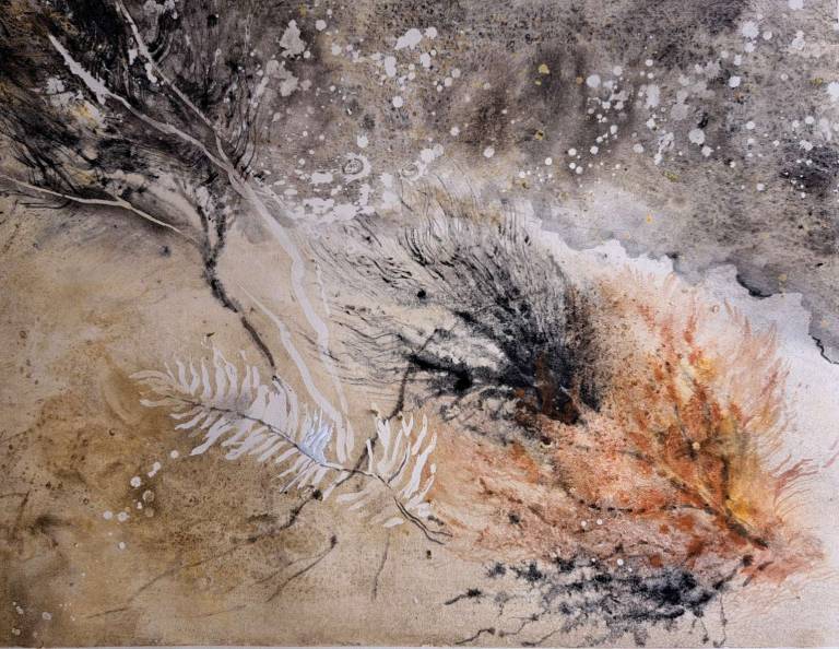 Sea Wrack II - Stella Clarke