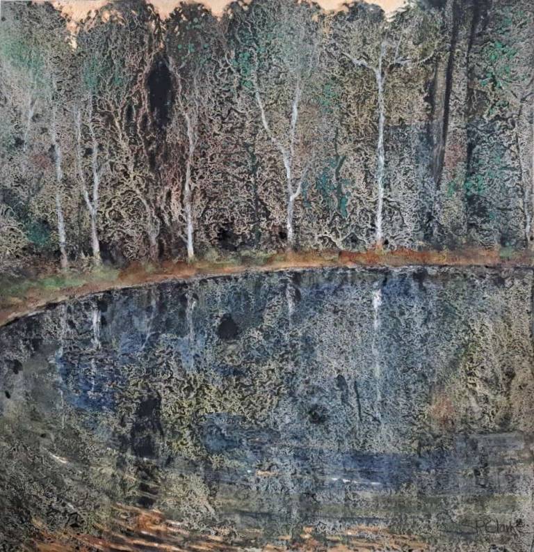 Heart of the Forest - Stella Clarke