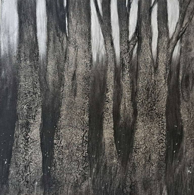 In the Dark Wood - Stella Clarke
