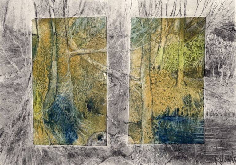 Remembered Forest - Fade to Grey - Stella Clarke