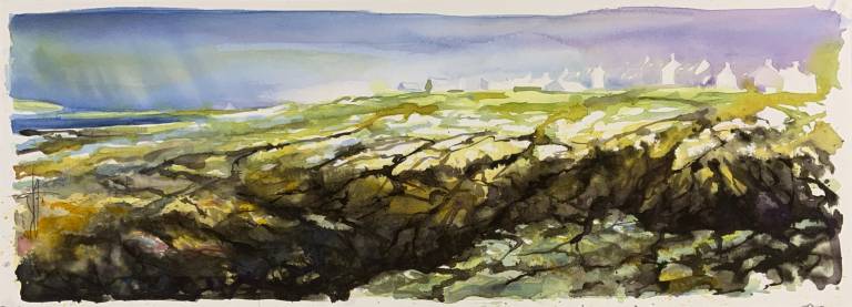 Dietmar Finger - Port Wemyss Rocky Shore