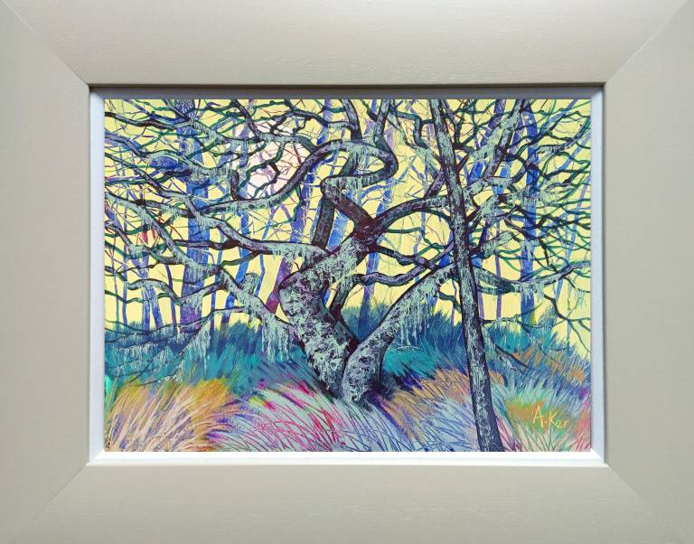 Arthur Ker - Sessile Oak Glennan