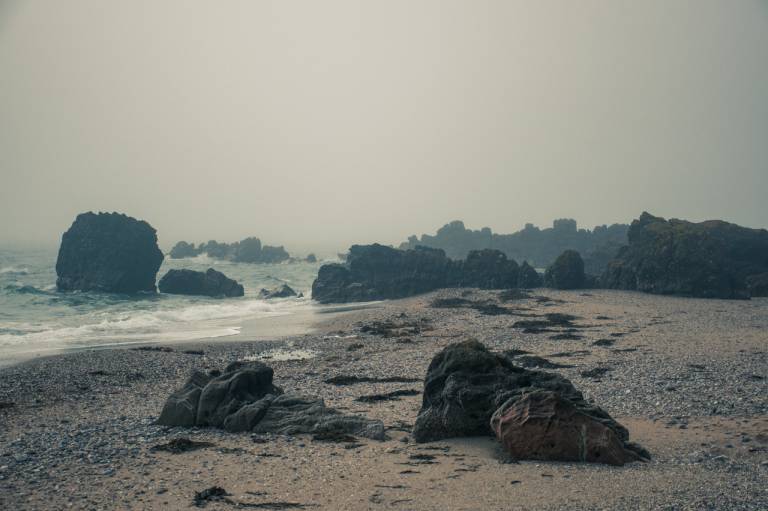 Misty - Sarah Morton