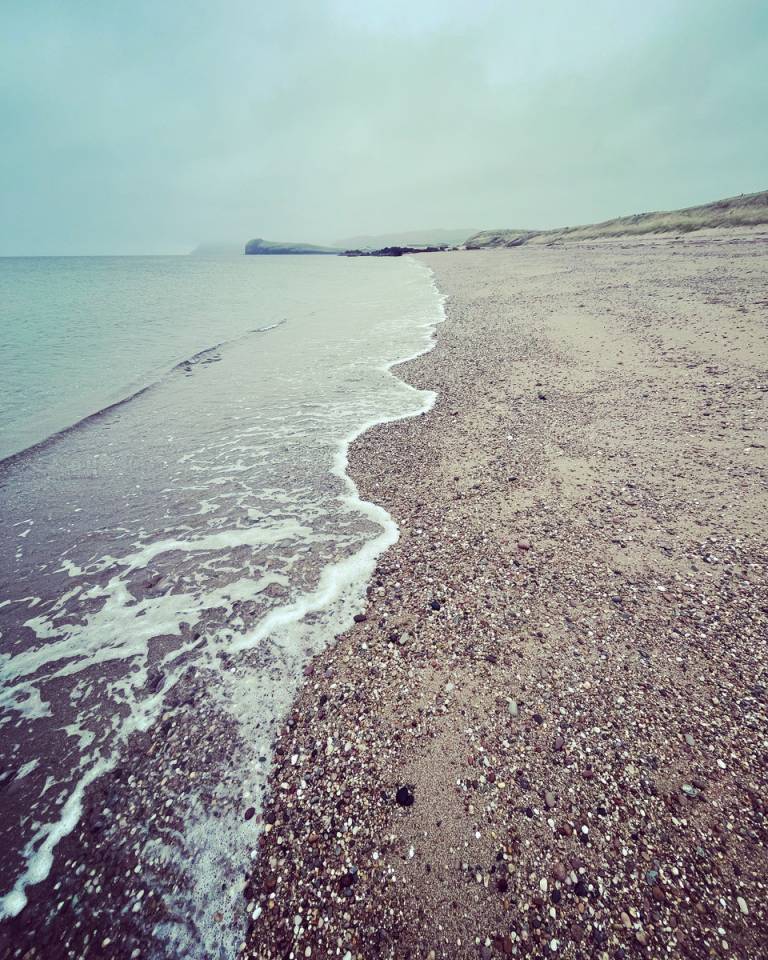 Shoreline 1 - Sarah Morton