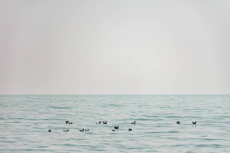 Sarah Morton - Floating