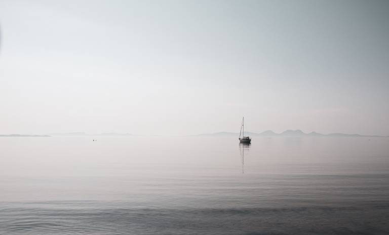 Evening - Sarah Morton