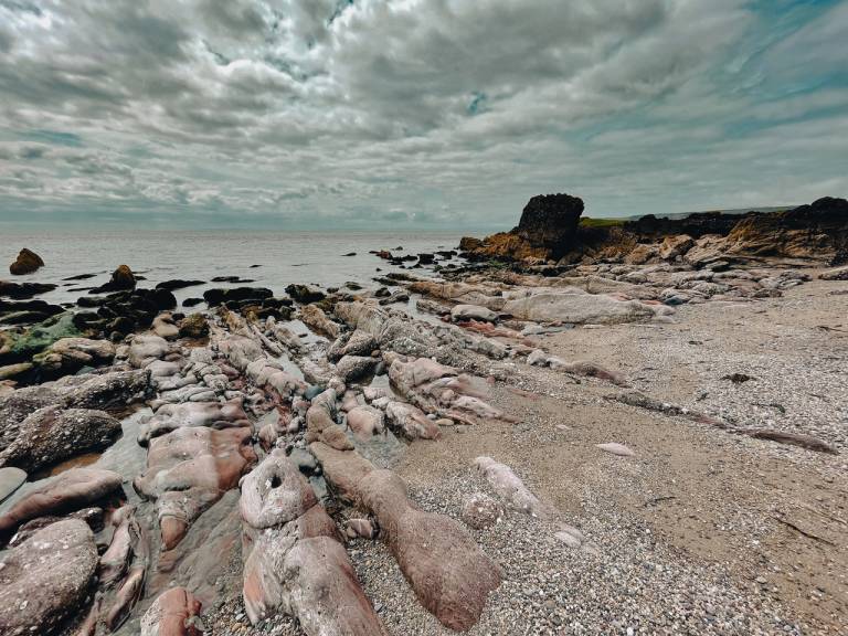 Rocks - Sarah Morton