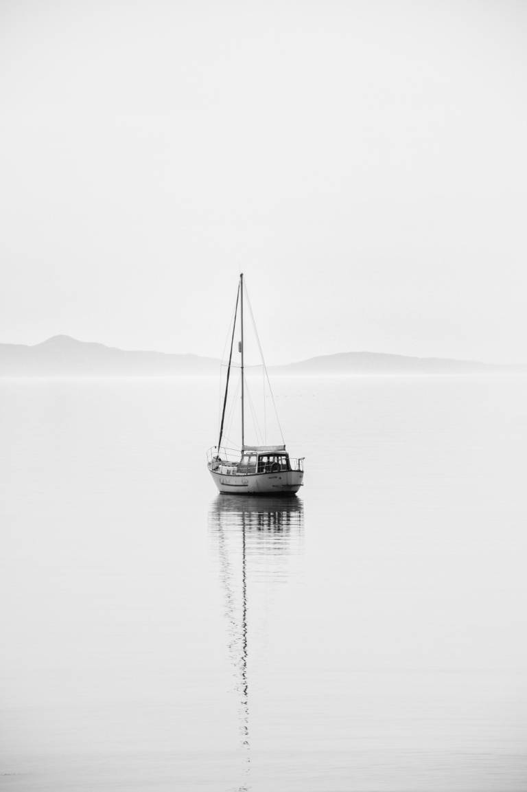 Halcyon - Sarah Morton