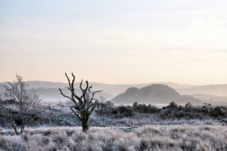 Land of the Kings - Bill  Baillie