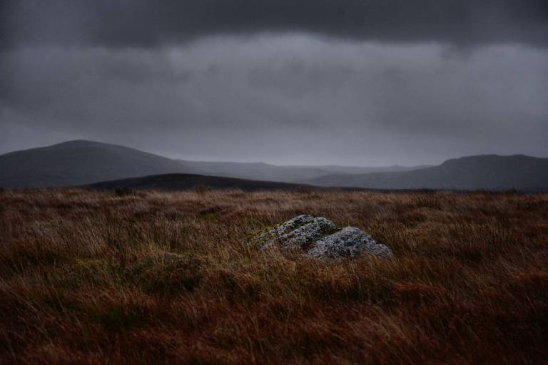 Exposed - Bill  Baillie