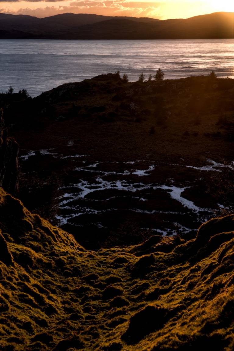 Keeper of the Deer - Bill  Baillie