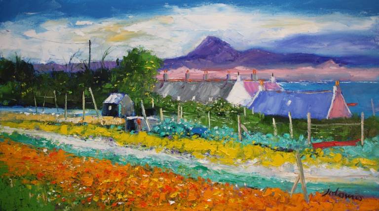 The back garden flower beds Iona                SOLD - John Lowrie Morrison OBE
