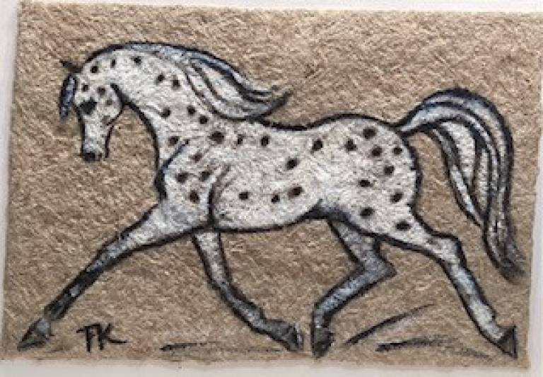 Apaloosa Filly - Terry Kirkwood