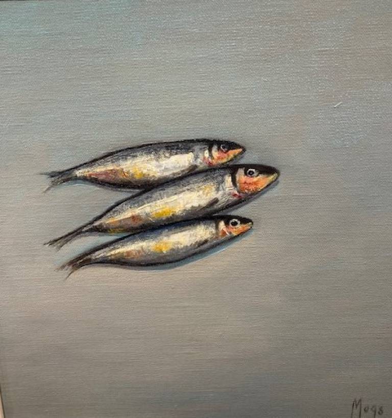 Mogs Mellor - Fishy Wishy 3 Sardines