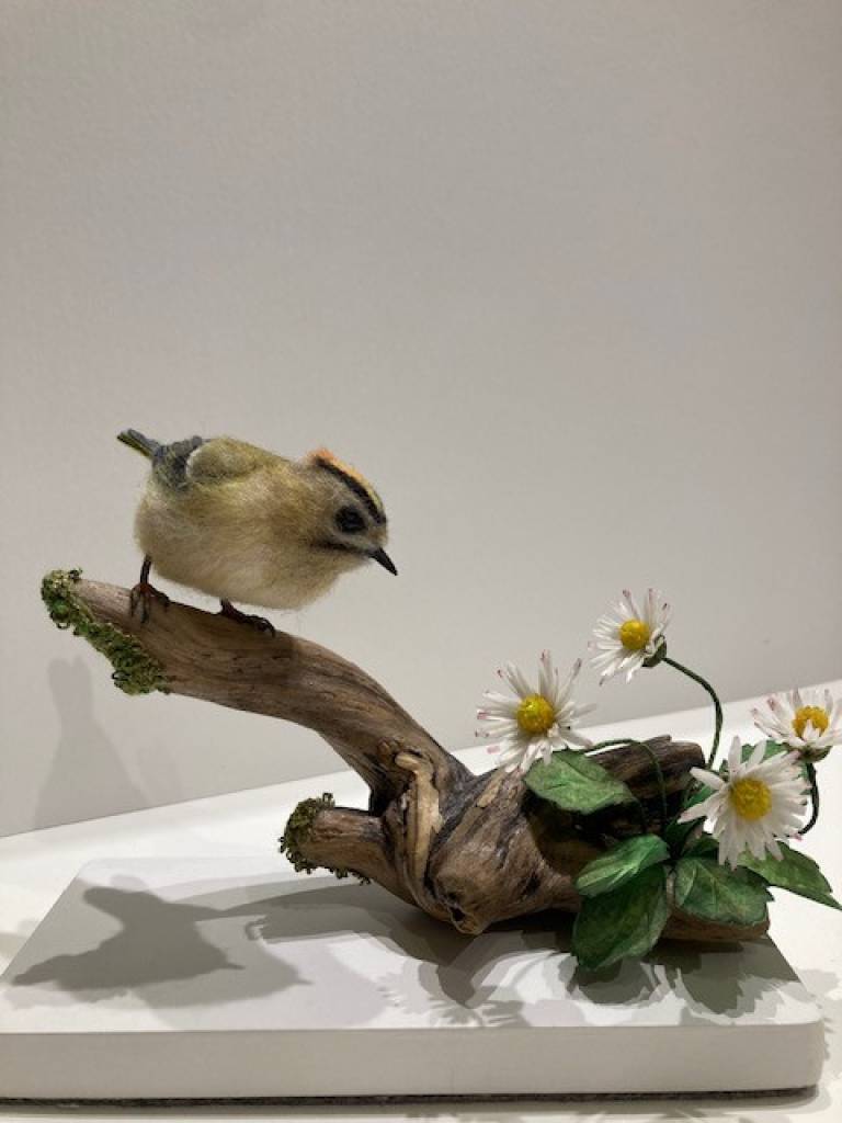 Joan Gontarek - A Moment with the Daisies