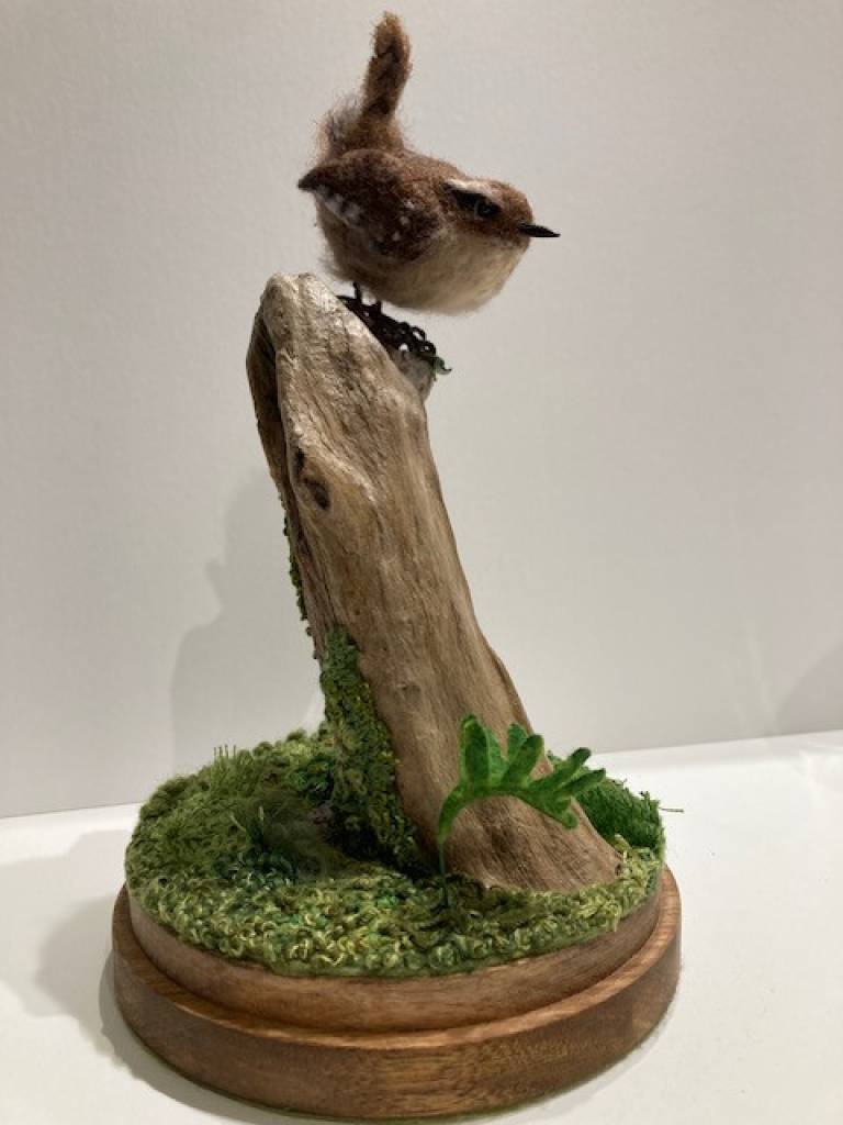 Joan Gontarek - Wren