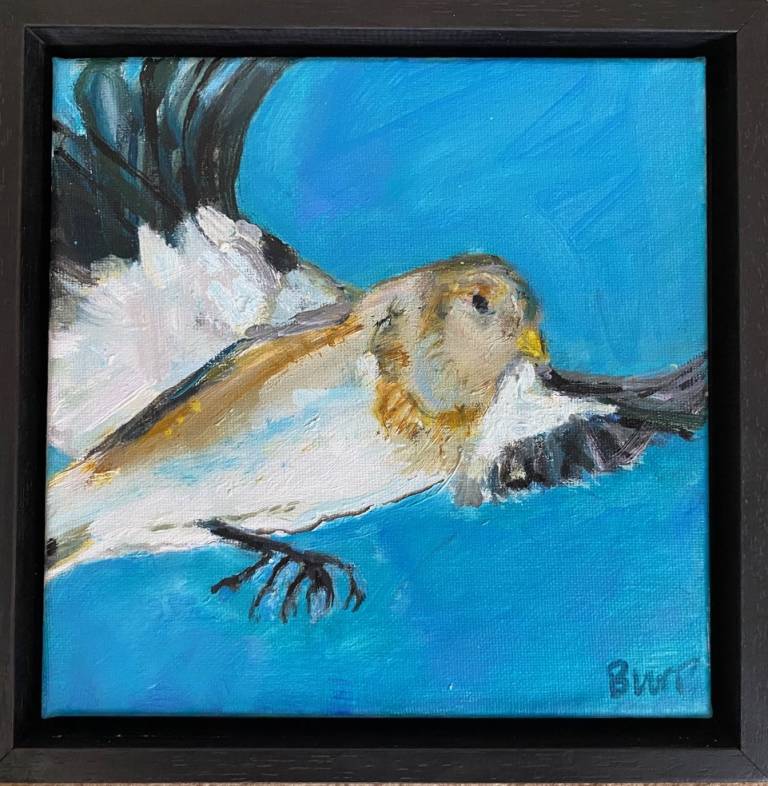 Lesley Burr - Flying Snowbunting