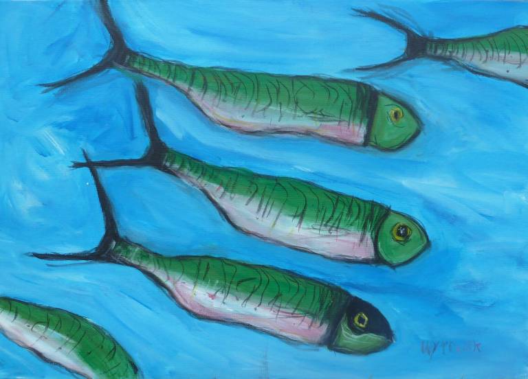 Caroline  Plummer - Shoal