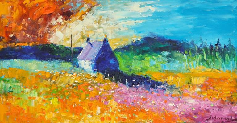 Wild flowers Isle of Gigha   SOLD - John Lowrie Morrison OBE