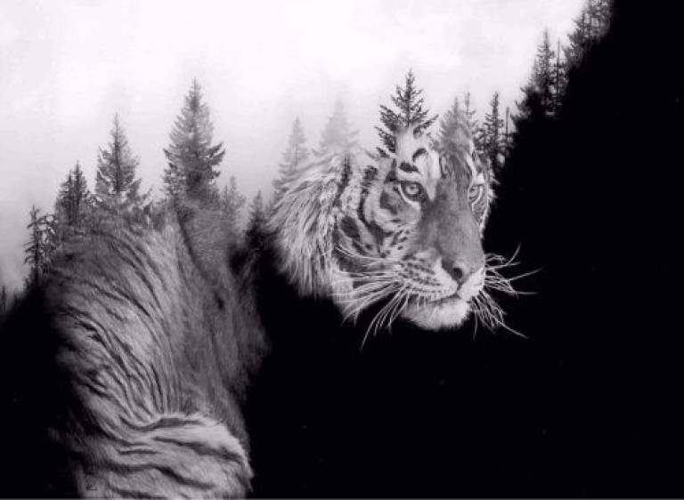 Out Of The Wilderness - Martin Reid