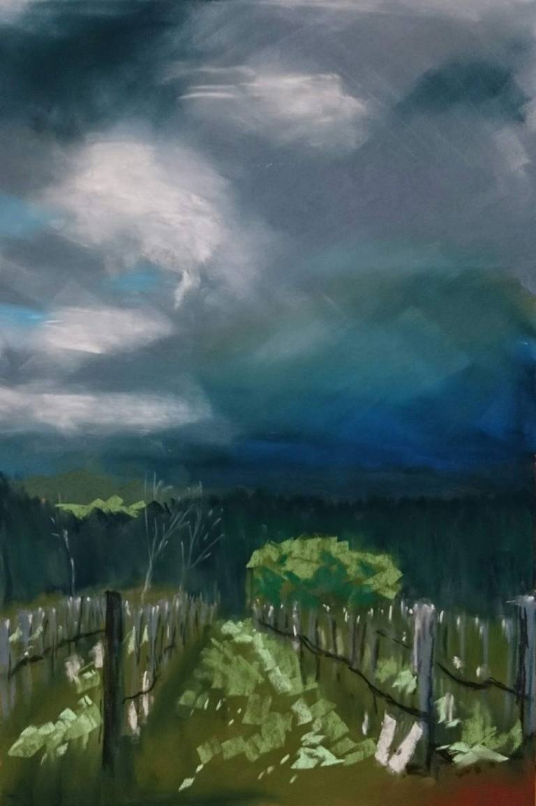 Sonoma Storm - Helen Prentice