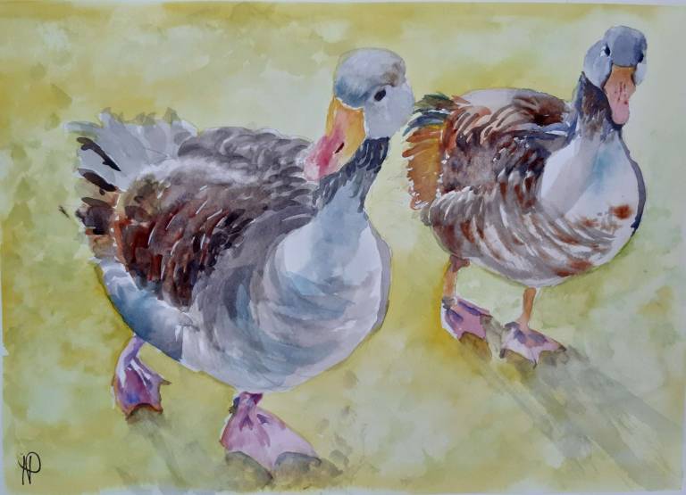 Geese after my feet - Helen Prentice