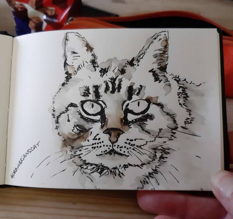 Brian's Cat - Helen Prentice