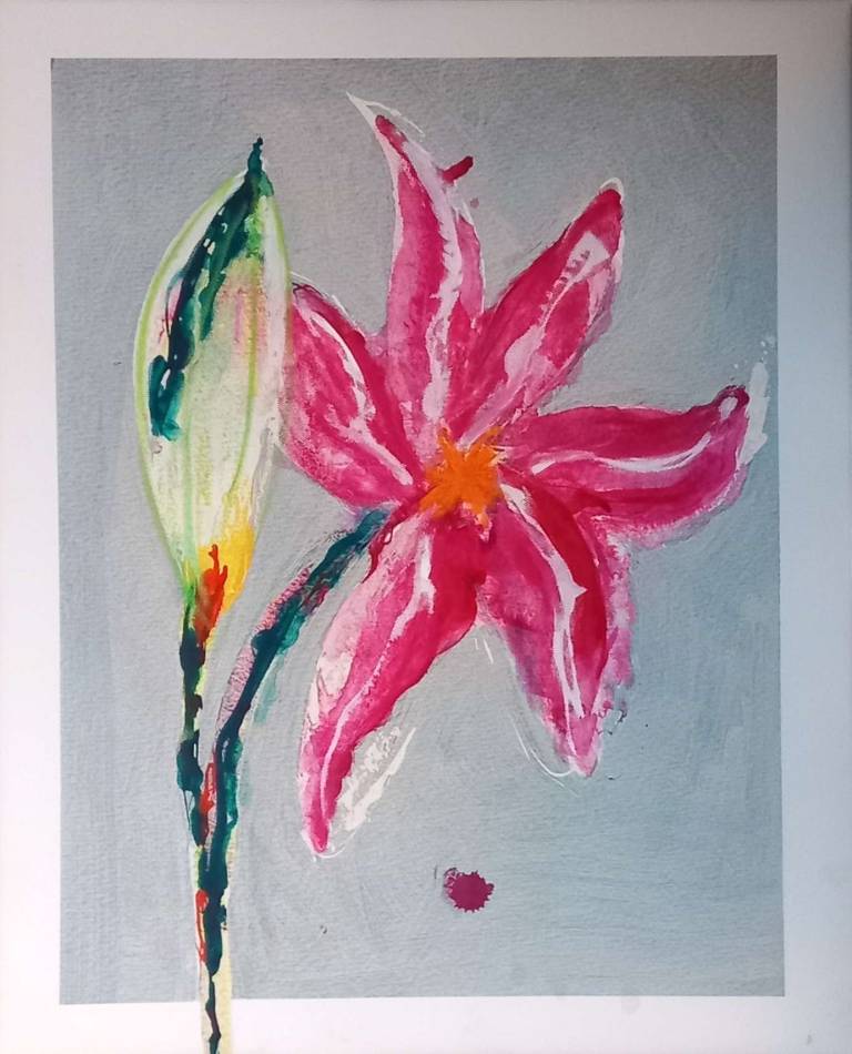 Lily Pink - Helen Prentice