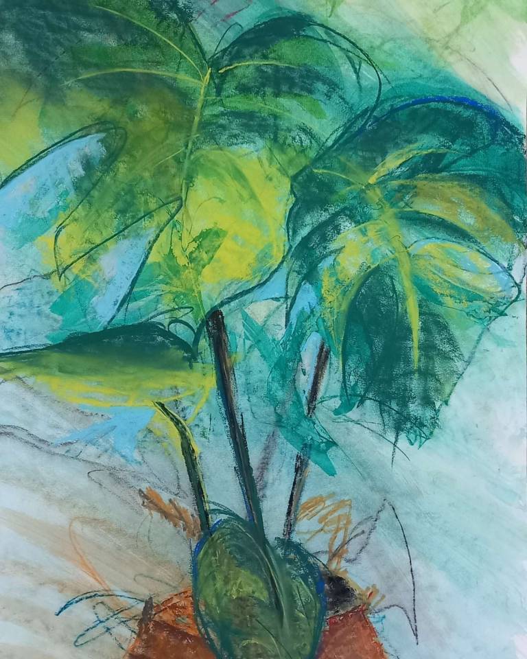 Monstera - Helen Prentice