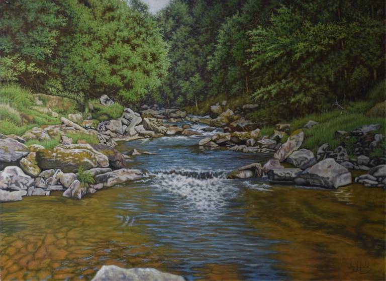 A View of the River Lyn, Devon - Ian Fifield