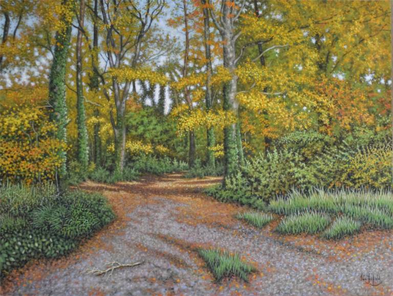 An Autumn Day in the Woods - Ian Fifield