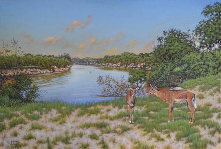 Late Afternoon on the Mara River - Ian Fifield