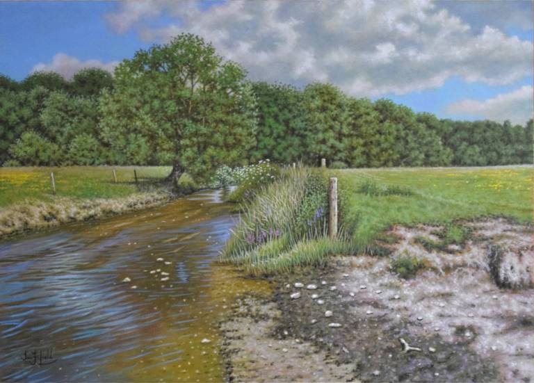 River view near Frampton - Ian Fifield
