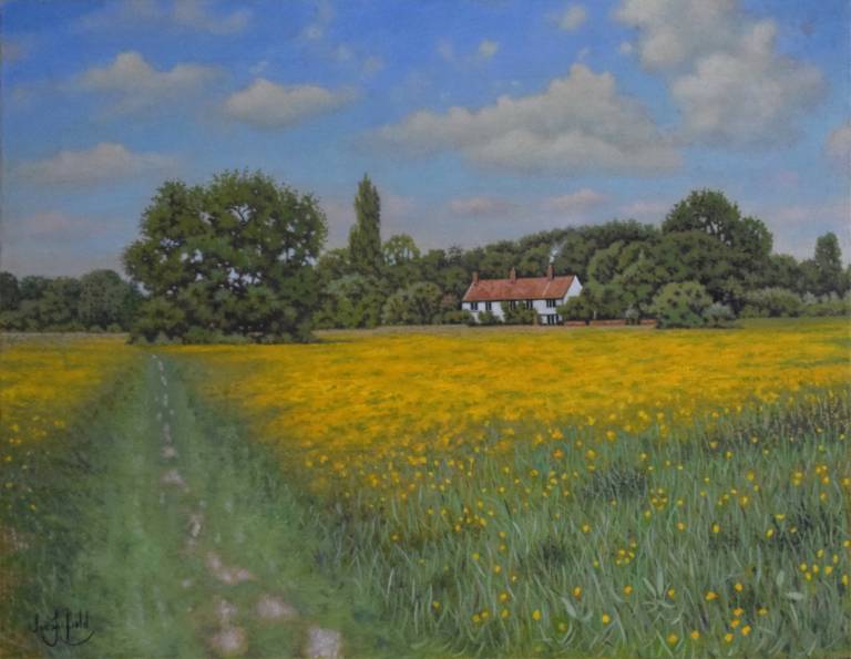 A Walk through a Buttercup Field - Ian Fifield