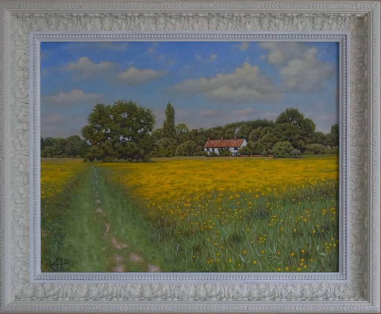 A Walk through a Buttercup Field - Ian Fifield