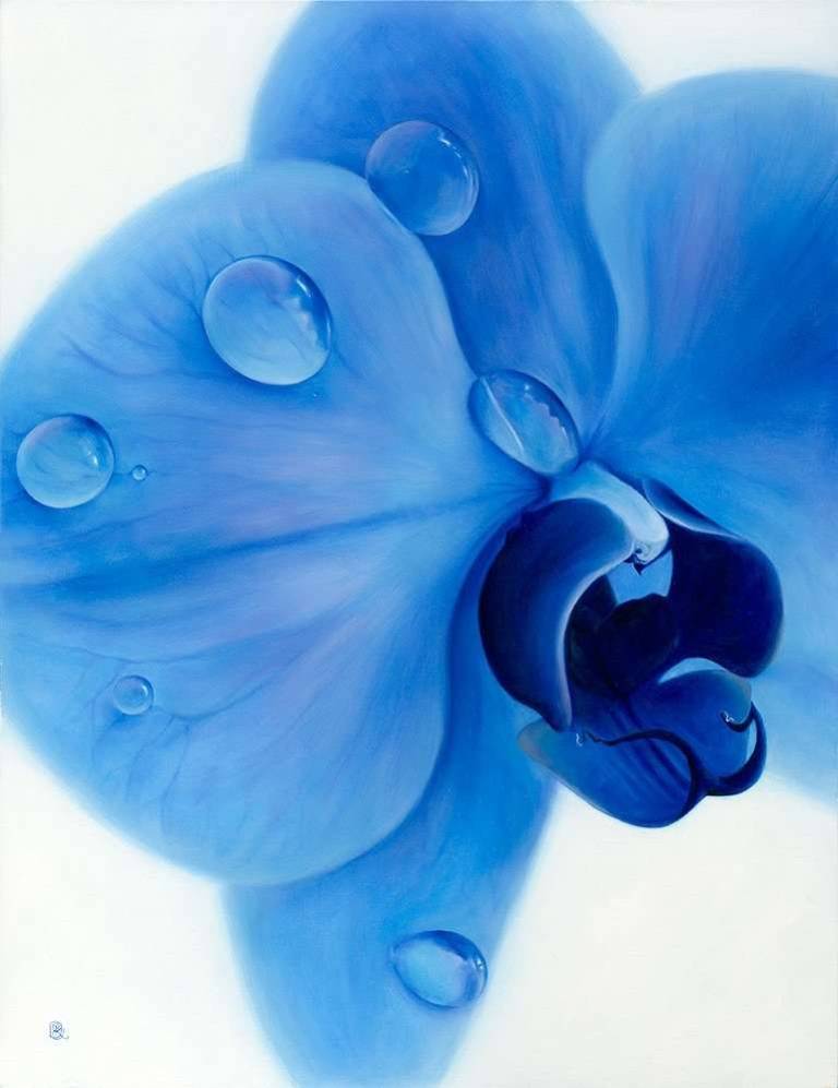 Blue Orchid - Dawn Kay