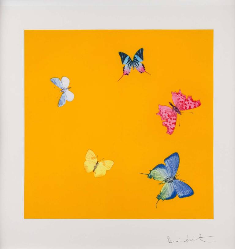 Damien Hirst - Sweet Disorder