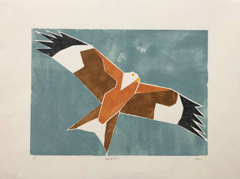 Red Kite I - Paul Rickard