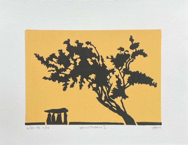 Hawthorn I (EV II/IV) - Paul Rickard