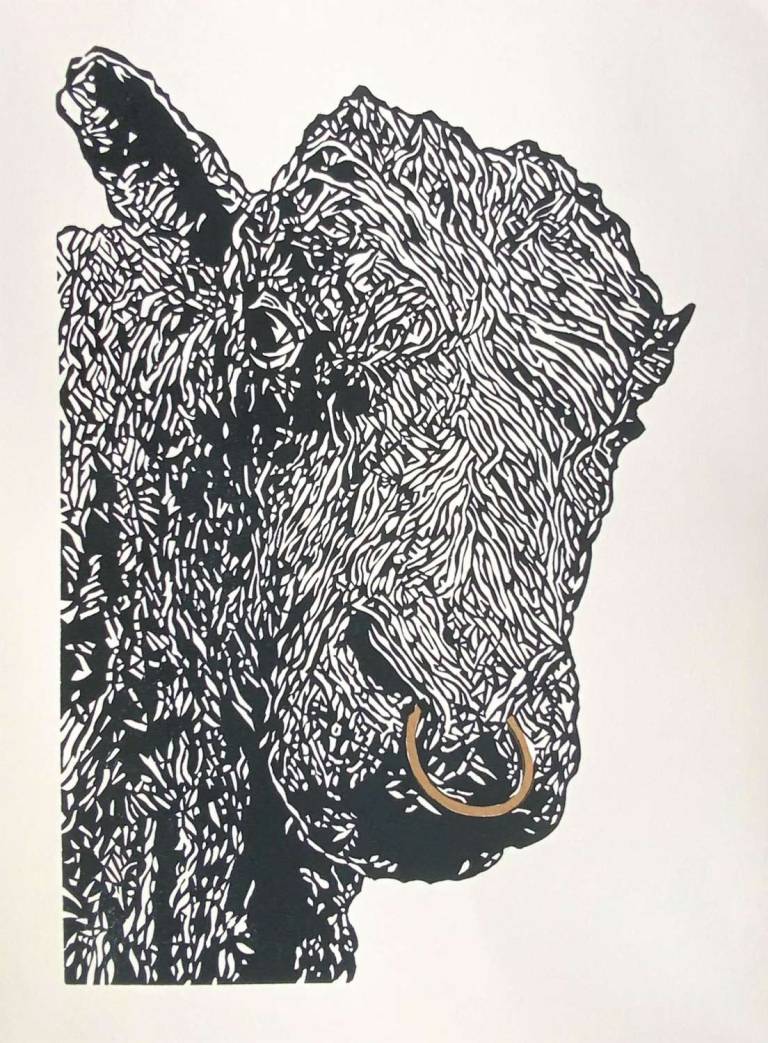 Caerynwch Tywysog 6ed - Paul Rickard