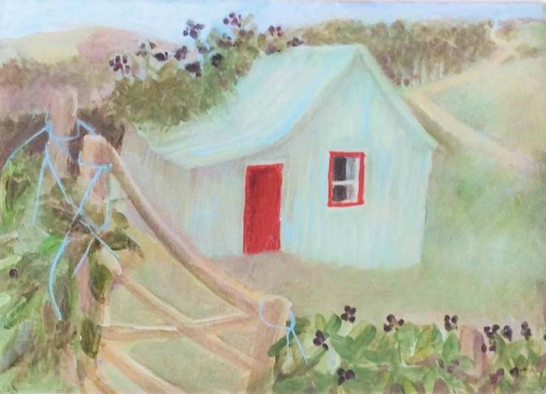 Welsh Shed - Tessa Newcomb