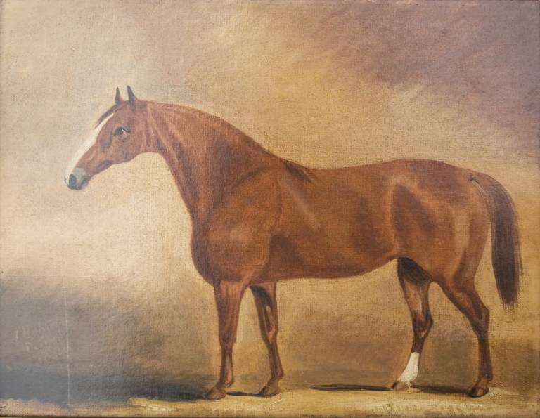 John Hobart - Horse