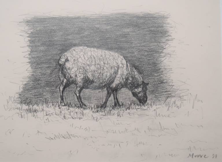 Sheep Grazing - Henry  Moore