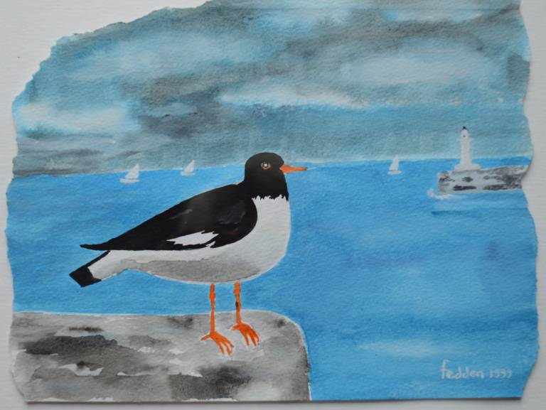 Mary  Fedden - Oyster Catcher