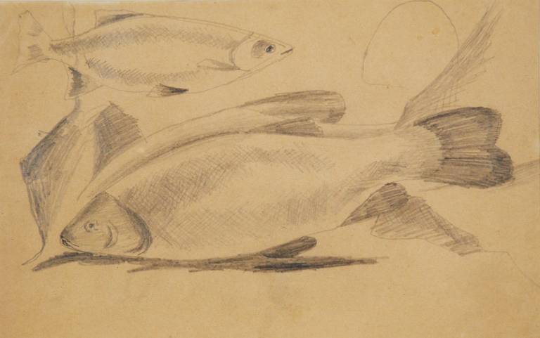 Christopher Wood - Fish, London Aquarium