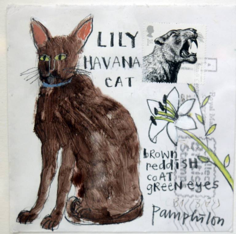 Lily Havana Cat - Elaine Pamphilon