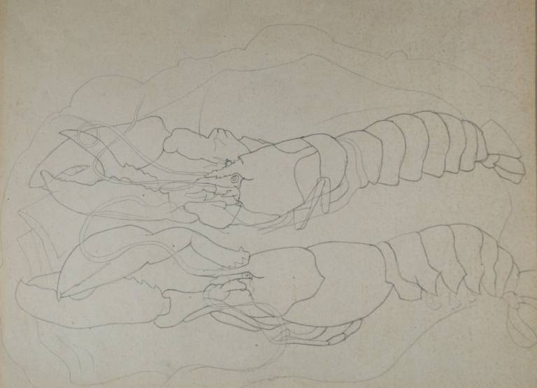 Christopher Wood - Two Lobsters, London Aquarium